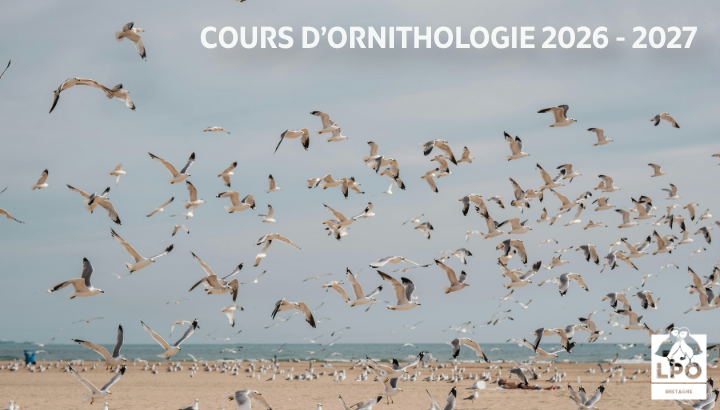 Inscriptions à l'école nationale d'ornithologie 2026 - 2027